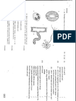 Paper 1 > Biology_1990_Paper_1+Marking Scheme