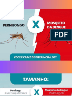 Utilidade Pública - Diferenças Entre Mosquito Da Dengue e Pernilongo