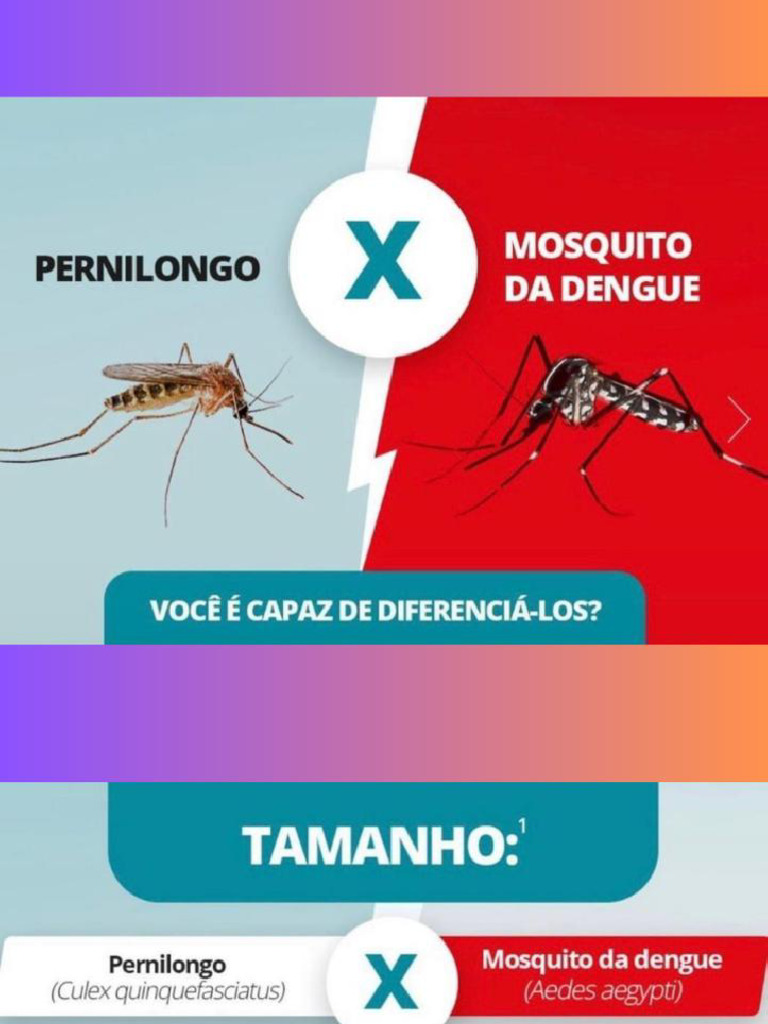 Utilidade Pública - Diferenças Entre Mosquito Da Dengue e Pernilongo | PDF