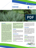 FoliageWormwood