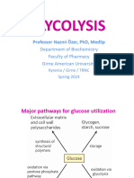 2 Glycolysis
