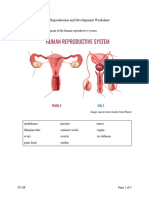 Human Reproduction and Development Worksheet