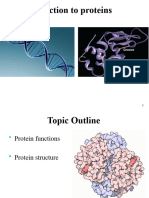 Lecture 5 - Proteins 2023