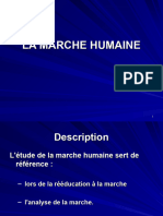 La Marche Humaine