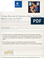 Alimentación y Nutrición de La Mujer Durante La Lactancia