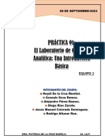 Informe de Practica Qanalitica