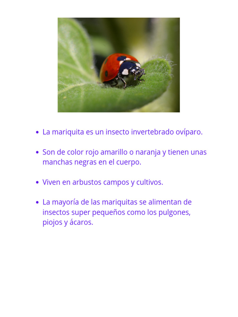 Ejemplos de Animales Invertebrados | PDF