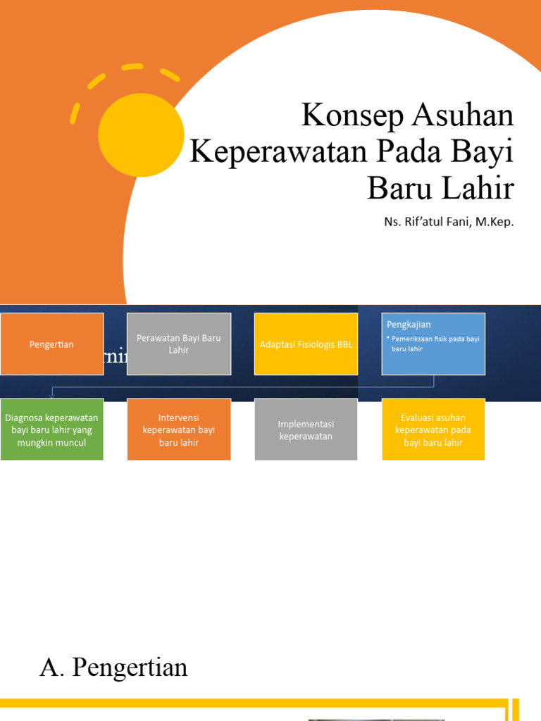 Konsep Asuhan Keperawatan Pada Bayi Baru Lahir | PDF | Kesehatan Holistik