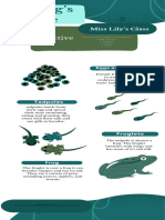 Lifecycle of A Frog 1