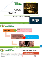 ANATOMÍA POR PLANOS Plantilla