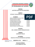 ENSAYO TIPOS DE INFORME DE AUDITORIA Version 2.0