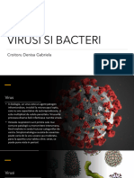 Virusi Si Bacteri: Croitoru Denisa Gabriela