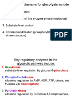 Lactic Acid Fermentation