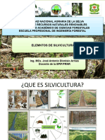 1) Problematica Mundial en El Tema Forestal