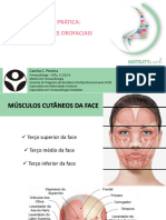 Módulo 08 Parte Prática Aplicações Orofaciais