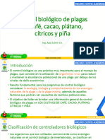 Control Biológico de Plagas de Café, Cacao, Plátano, Cítricos y Piña