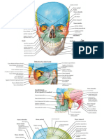 Accidentes Oseos del Craneo