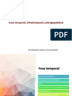 Fosa Temporal, Infratemporal y Pterigopalatina