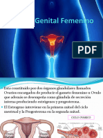 16 Aparato Femenino