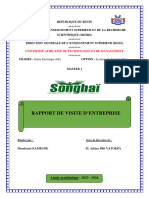 Page de Garde Rapport Songhai