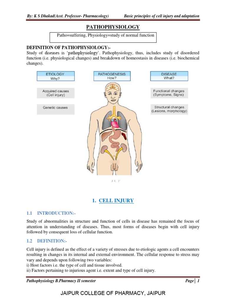 Pathophysiology Author K S Dhakad | PDF | Self-Improvement | Wellness