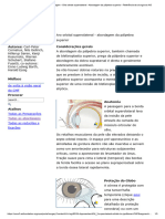 Face Mediana - Abordagem - Orla Orbital Superolateral - Abordagem Da Pálpebra Superior - Referência Da Cirurgia Do AO (1) - Cópia