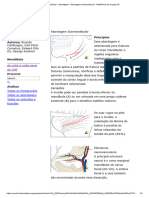 Mandíbula - Abordagem - Abordagem Submandibular - Referência de Cirurgia AO