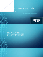 Derecho Ambiental Via Procesal