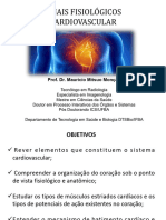 Aulas Sistema Cardiovascular 