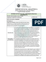 Modelo Informe Practica-Experimental
