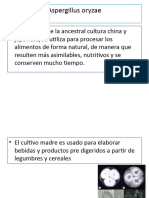 2.2.1 B) Operación Del Proceso de Ontención de Enzimas Por Fermentación