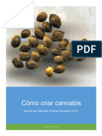 Como Criar Cannabis