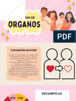 Donantes de Órganos