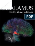 The Thalamus 2022