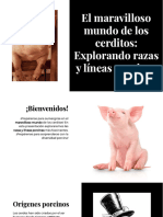 Wepik El Maravilloso Mundo de Los Cerditos Explorando Razas y Lineas Porcinas 20231202050303EbYX