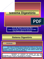 Sistema Digestório