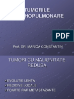 Tumorile Bronhopulmonare: Prof. Dr. Marica Constantin