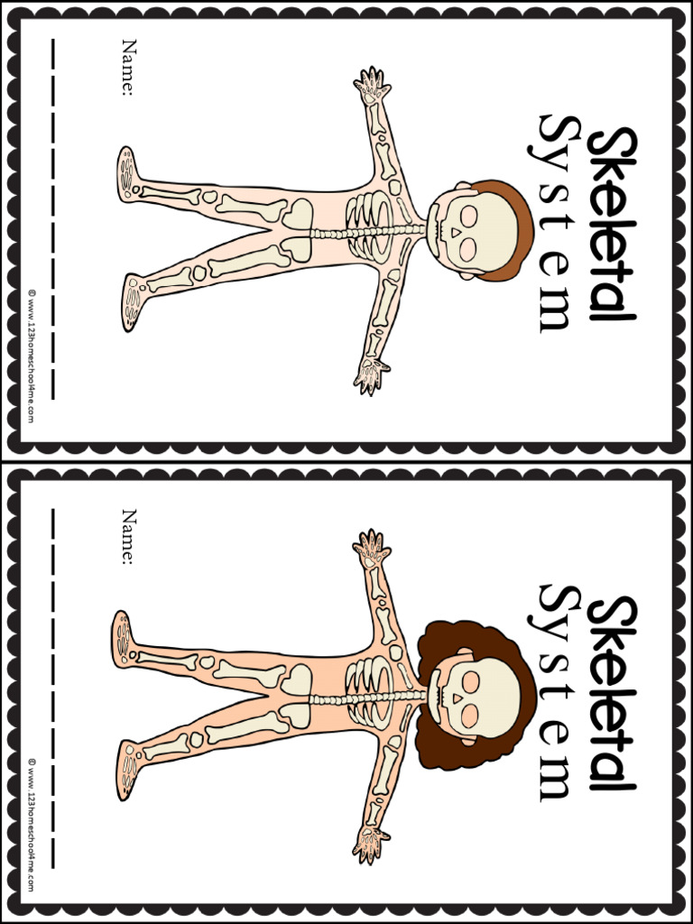 Human Skeletal System BLOG | PDF | Bone | Skeleton