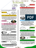 Infografia Linea Del Tiempo Historia Empresa Moderna Multicolor