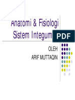 26-11-2010 Anatomi & Fisiologi Integumen 1