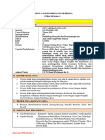 MODUL AJAR - Novi Adekayanti PPG Ok