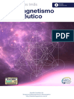Manual Dos Ímãs Biomagentismo - Daniella Castellano Sá-1' Com Você