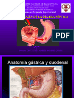 6 Fisiopatologia de La Ulcera Peptica