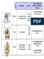 Cuadro Articulaciones