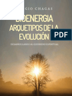 Bioenergia Arquetipos de La Evolución