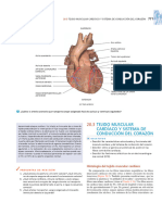 Material de La Guia 2 de Cardiovascular