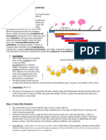 Module I DevPsych