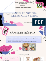 Cáncer de Próstata, de Testiculo y Renal