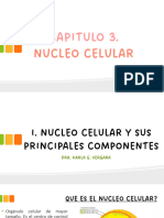 Tema 3. Nucleo Celular