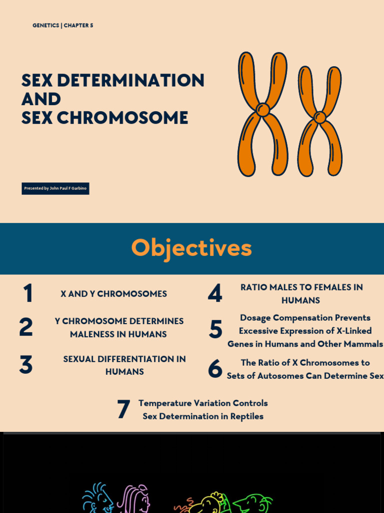 Sex Determination and Sex Chromosome | PDF